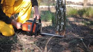 Best Aeration Services  in Lovejoy, GA