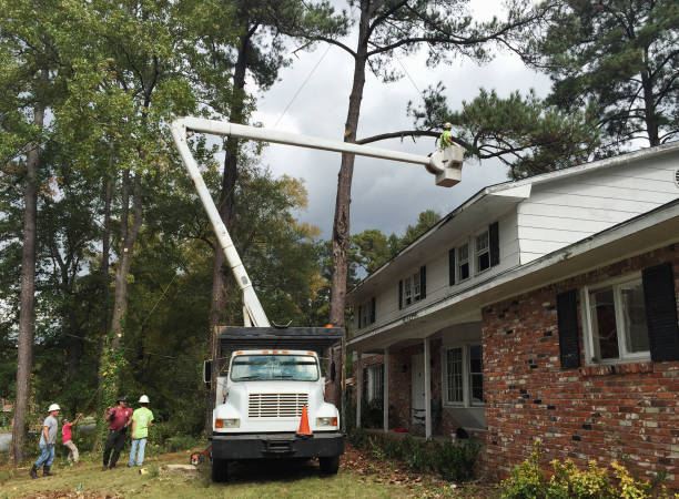 Best Weed Control  in Lovejoy, GA